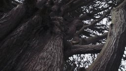 Person to Person - Official Trailer