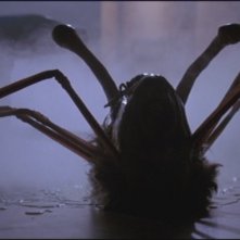 La Cosa: Una suggestiva scena del film