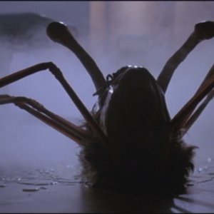 La Cosa: Una suggestiva scena del film