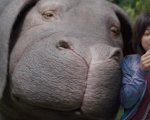 Okja: la nostra videorecensione del film Netflix!