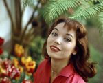 Addio a Elsa Martinelli, la diva italiana che conquistò Hollywood