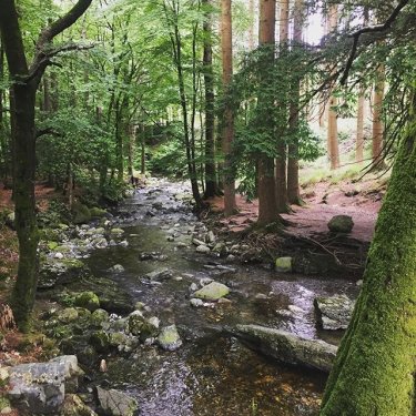 Tollymore Forest