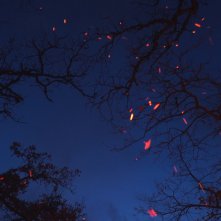 Surbiles: un'immagine del documentario