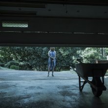 Ozark: prima stagione