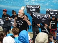 James Cromwell arrestato durante una protesta al SeaWorld di San Diego