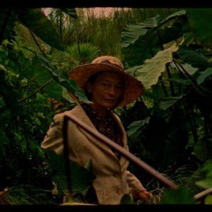 The Wild Boys: una scena del film