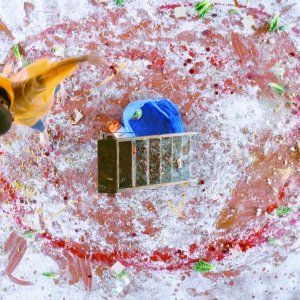 Team Hurricane: un'immagine del film