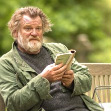 Appuntamento al parco: Brendan Gleeson in una scena del film