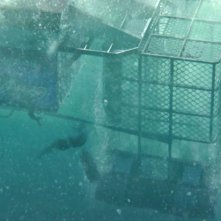 Open Water 3: una scena subacquea del film