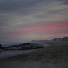 Hannah: un'immagine del film