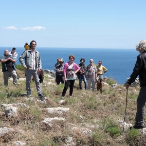 La vita in comune: un momento del film