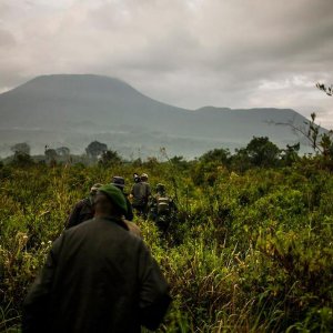 This is Congo: un'ìmmagine tratta dal documentario