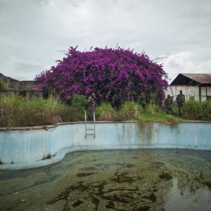 This is Congo: un momento del documentario