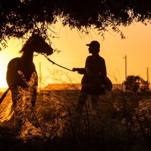 Lean on Pete: Charlie Plummer corre in un momento del film