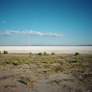 Lean on Pete: una scena del film