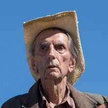 Lucky: un primo piano di Harry Dean Stanton