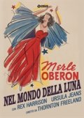 Locandina di Nel mondo della luna