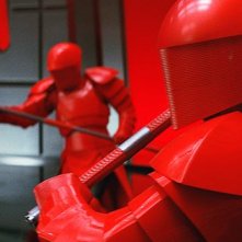 20638388 10155777706234701 9061857705421784450 N