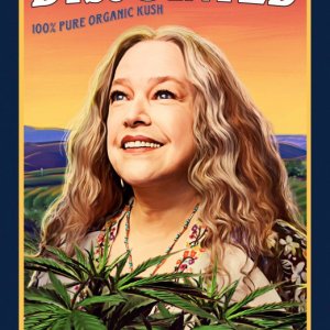 Locandina di Disjointed