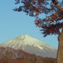 Hokusai dal British Museum: un'immagine del documentario sul grande artista giapponese