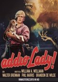 Locandina di Addio lady!