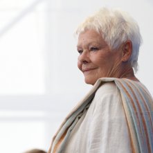 Venezia 2017: una sorridente Judi Dench al photocall di Vittoria e Abdul