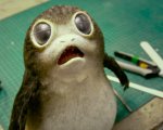Star Wars: Gli Ultimi Jedi, un Porg infastidisce BB8 in un nuovo corto animato!