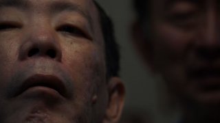 images/2017/09/09/caniba.jpg