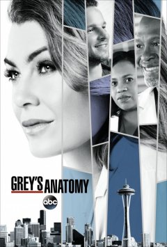 Grey's Anatomy - Streaming - Movieplayer.it