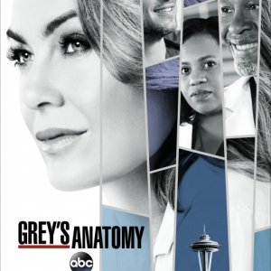 Grey's Anatomy: il poster della quattordicesima stagione
