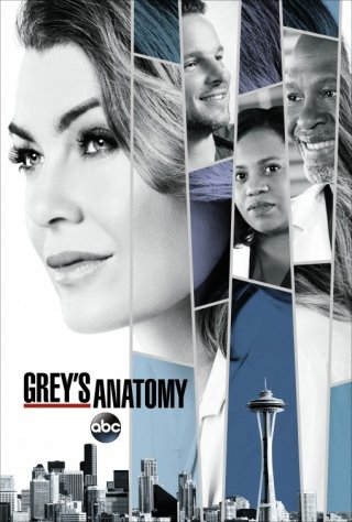 Grey's Anatomy: il poster della quattordicesima stagione