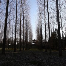 Walk with Me - Il potere del Mindfulness: un'immagine del documentario