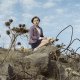 Oscar 2018: 14 titoli iscritti per rappresentare l'Italia nella corsa al miglior film straniero