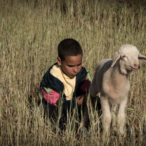 My Name Is Adil: un momento del film