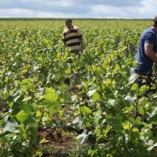 Ritorno in Borgogna: François Civil, Pio Marmaï, Ana Girardot e Jean-Marc Roulot in una scena del film