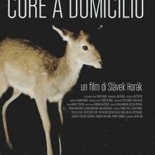 Locandina di Cure a domicilio