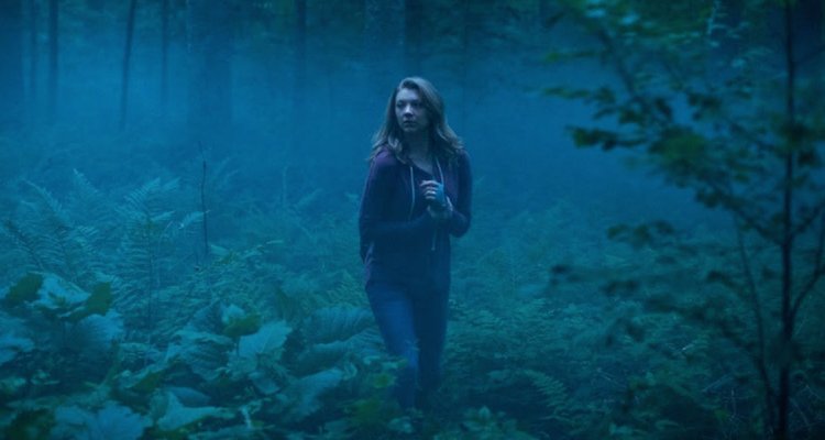 Jukai La Foresta Dei Suicidi Streaming Ita