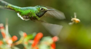 Earth: Un giorno straordinario, un momento del documentario