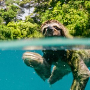 Earth: Un giorno straordinario, una suggestiva immagine del documentario