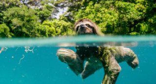 Earth: Un giorno straordinario, una suggestiva immagine del documentario