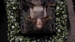 STILL STAR-CROSSED - Official Trailer 