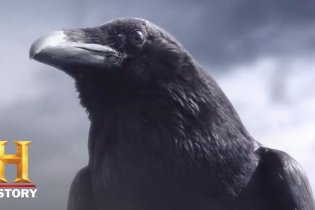 Vikings - Crow Teaser - Season 5