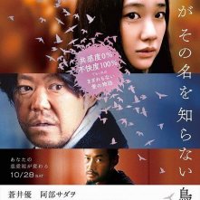 Locandina di Birds Without Names