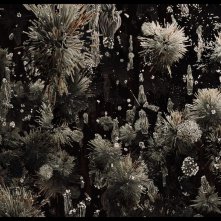 Il senso della bellezza: un momento del documentario