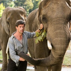 La signora dello zoo di Varsavia: Johan Heldenbergh in una scena del film