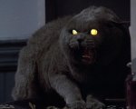 Pet Sematary: scelti i registi del nuovo film tratto dal libro di King