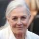 Vanessa Redgrave a Roma tra cinema e impegno: “Volevo essere come Monica Vitti”