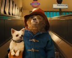 Paddington 2, video intervista esclusiva a Sally Hawkins