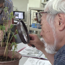 Never Ending Man: Hayao Miyazaki, Miyazaki in un'immagine del documentario