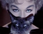 Torino Film Festival 2017: il programma di un'edizione 'felina' tra Gary Oldman, Asia Argento e De Palma